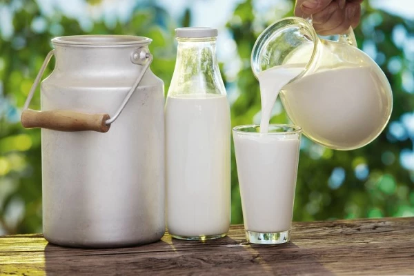 Export of Whole Fresh Milk in Australia Sees Slight Increase to $14M in December 2023